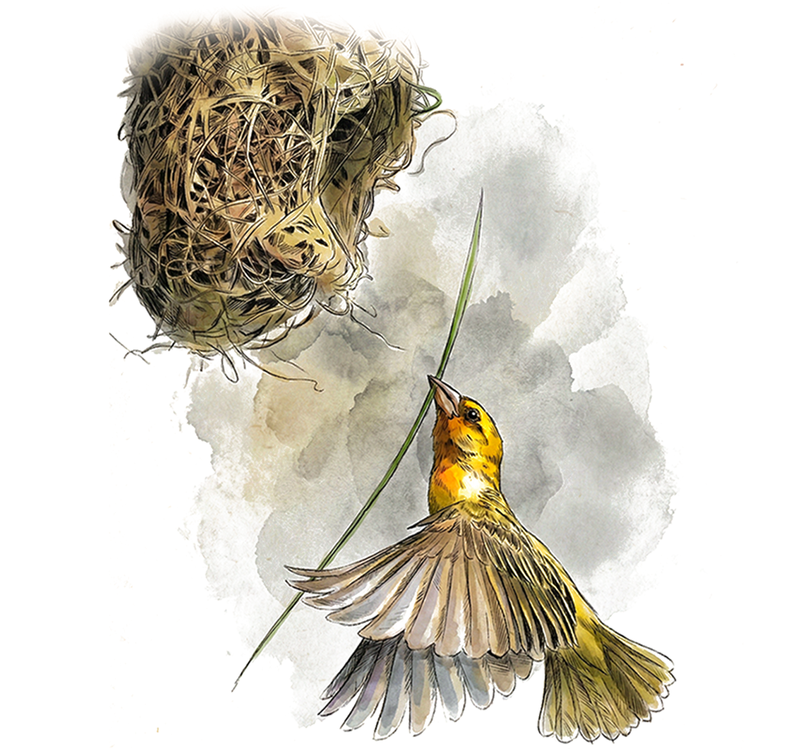 Brand Strategy Illustration